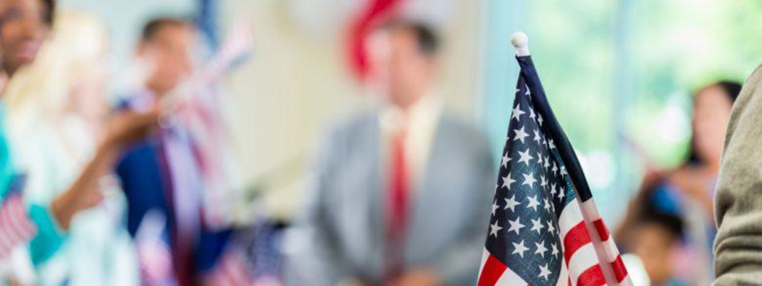 the american flag