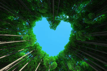 Nature heart - stock photo