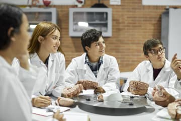 students at a table learning about neuroscience