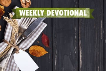 Weekly Devotional: Picnic table background