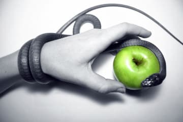 hand reaching for apple