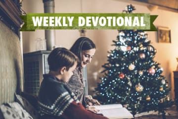 mother and son reading book by Christmas tree