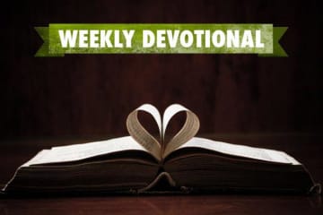 book with pages folded into a heart