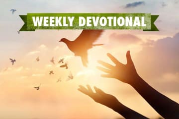 Weekly Devotional, Hands throwing up dove
