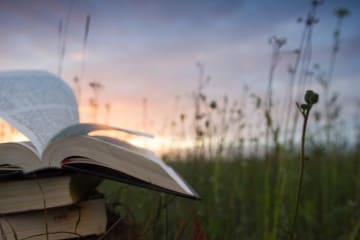 A stack of books sitting outside at sunset