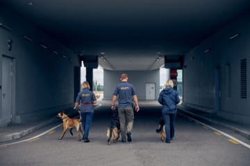 Three security guards with dogs