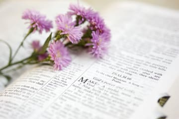 Pink flowers laying on a Bible opened to Psalm 66