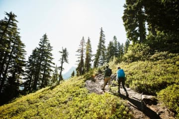 Student walking in nature