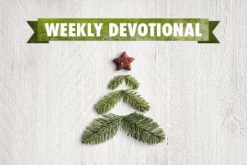 Weekly Devotional: Christmas tree stock image