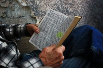person reading a bible