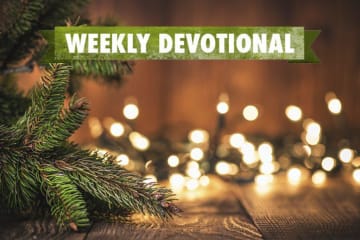 Weekly Devotional: Christmas lights and evergreen branches