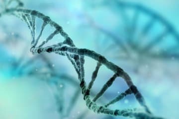 DNA diagram