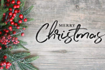 Merry Christmas graphic with berries