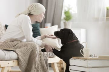 Woman interacting with a dog during a therapy session