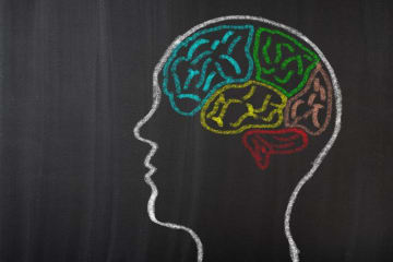 White outline of a head on a black board with different colored chalk outlines for the brain lobes