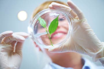 person dissecting a plant