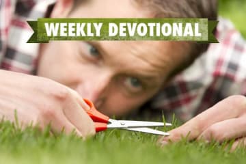 A man carefully cutting blades of grass with scissors