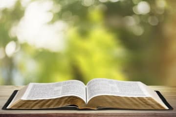 A Bible open on a sunlit table