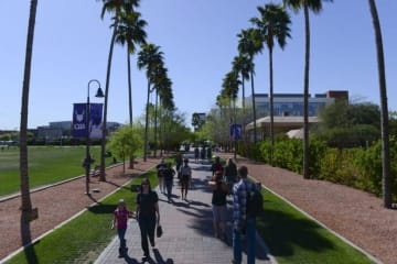 GCU's main promenade and palm trees