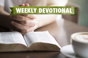 Weekly Devotional: Someone at a coffee shop reading the bible