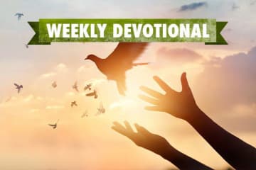 Weekly Devotional, Hands throwing up dove