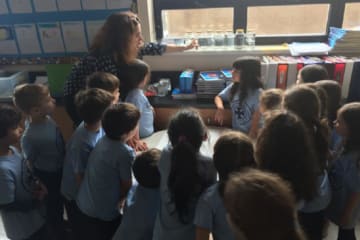 group of students surrounding a table in a classroom