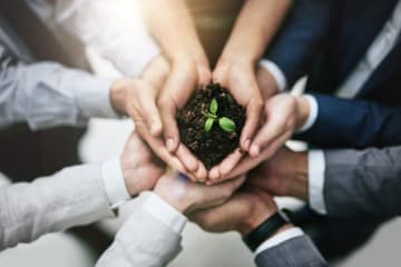 hands holding small plant