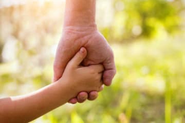 Adult hand holds child's hand with green foliage in background