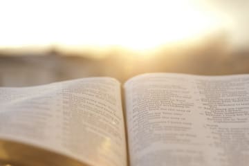 Bible open in the sun