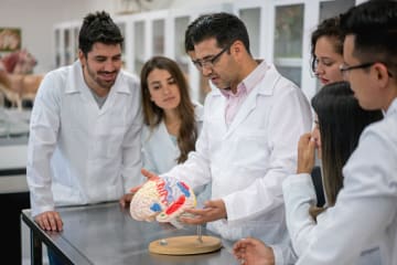 students learning about cognitive neuroscience in a lecture