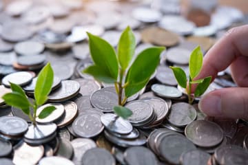 Coin pile growing plant