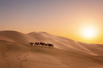 Person wandering in desert landscape