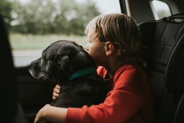 Little boy in a red shirt holding his dog in the car and both are looking out the window