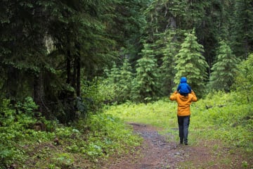 Father carries son through a forest trail