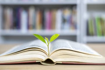 leaf sticking out of a book