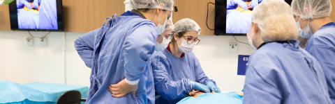 Autopsy Technicians Assisting Coroner