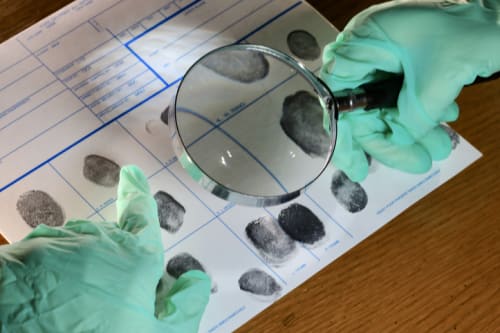 Investigator examining fingerprints 
