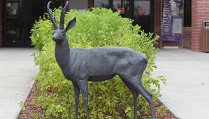 Three Community Leaders Join Grand Canyon University Board of Trustees antelope statue on campus