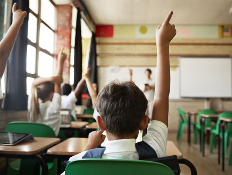 young male student raising hand in classroom alongside other students