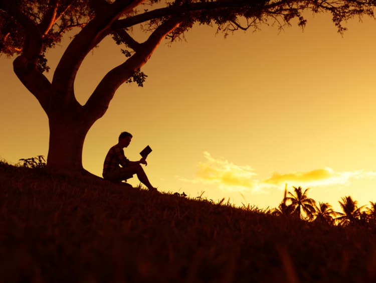 Man reading book under a tree