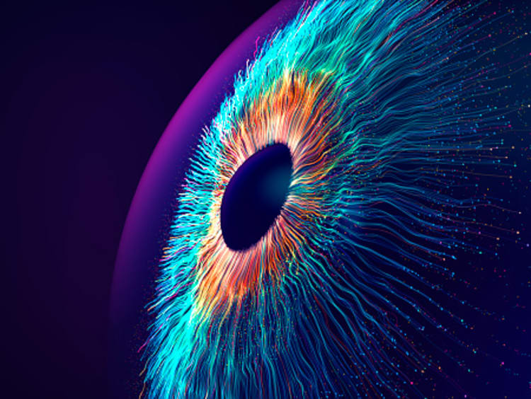 an eye constructed of coding neurons