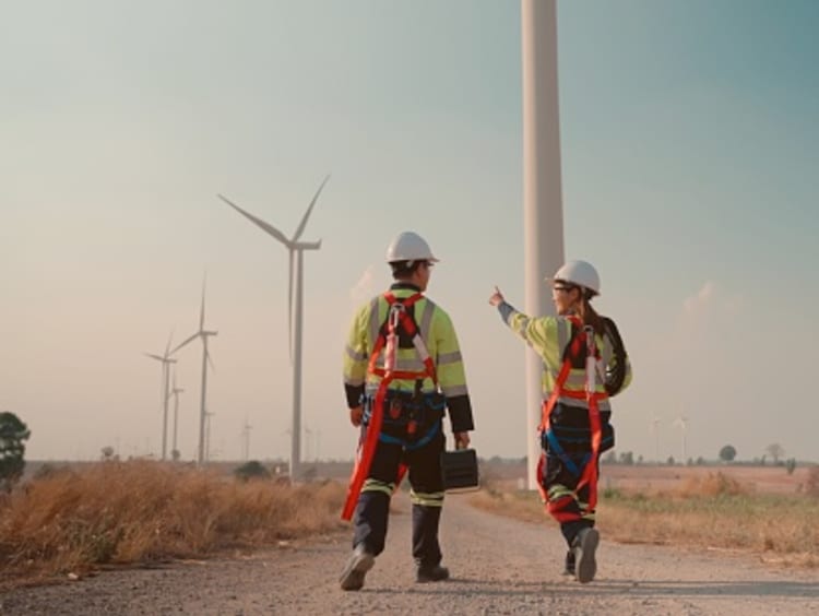 Two engineers checking out windmills.