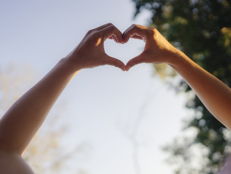 Two hands come together to form a heart shape against a beautiful backdrop of a clear sky and tree branches. - stock photo