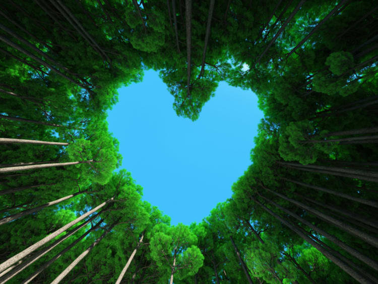 Nature heart - stock photo