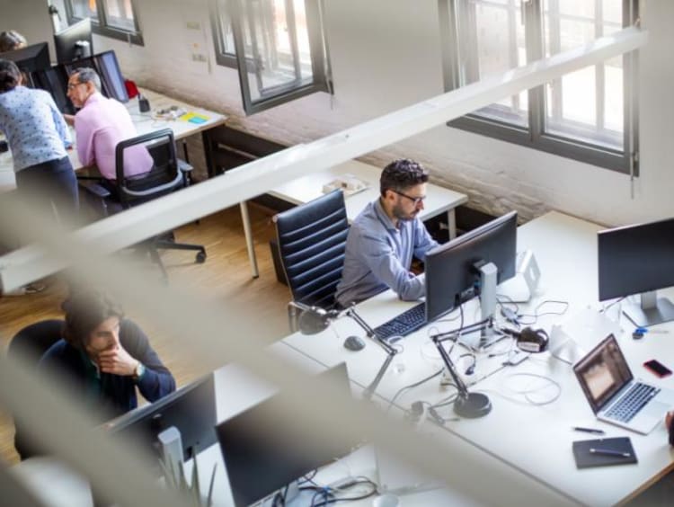Employees working in cubicles