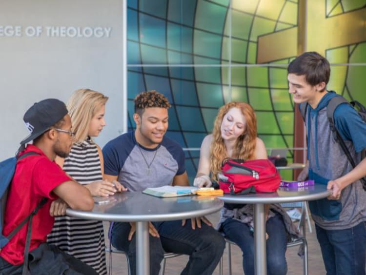 students studying outside