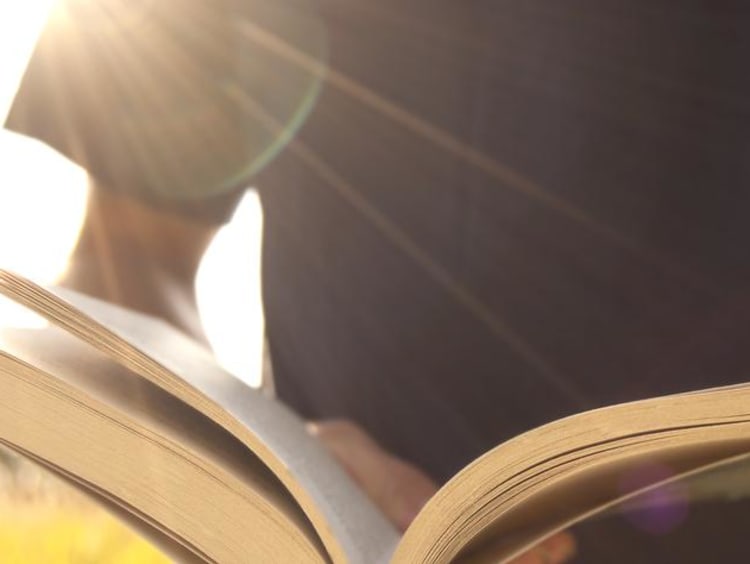 A person reading a book outside in the sunshine