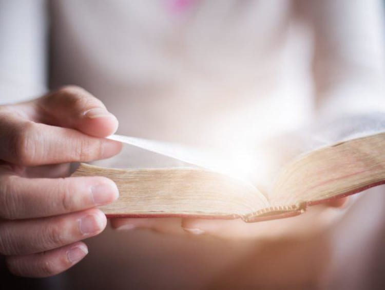 person reading the bible