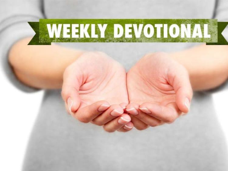 Open hands with weekly devotional text