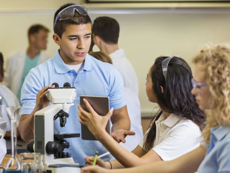 students working in lab